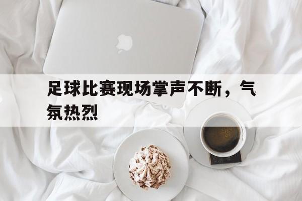足球比赛现场掌声不断，气氛热烈