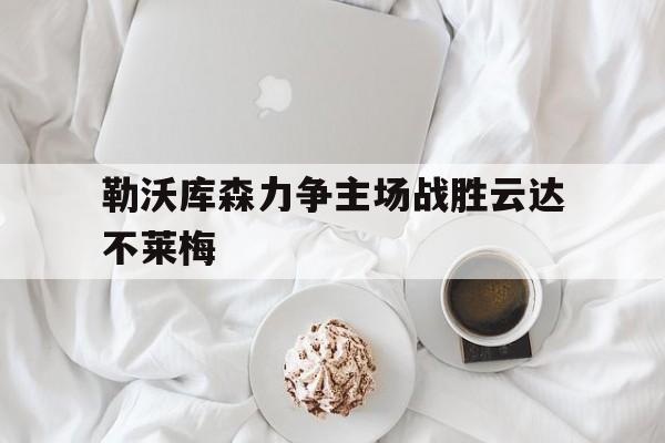 勒沃库森力争主场战胜云达不莱梅的简单介绍